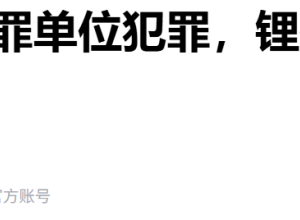 锂业巨头涉嫌内幕交易罪单位犯罪