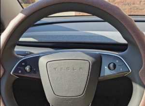 中了特斯拉的毒