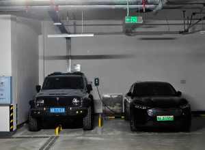 好家伙，这就是高底盘的优势吗?