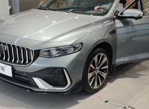 车友们，你们买的什么牌子的脚垫？