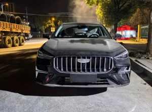 刚买5个月的旗畅，倒车影像白天紫色晚上糊