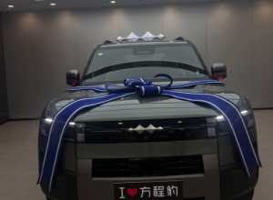 等待一个多月，终于提到车啦