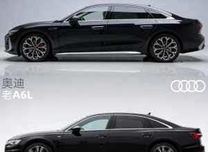 时代巅峰终随波逐流