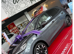 有人知道这款车电池寿命多久吗