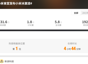 小米再上热搜！