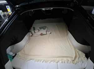 充电该有的豪华