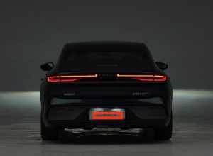 全网尾灯来挑战