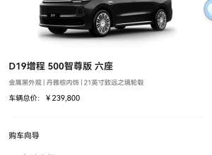 零跑d19准车主求问