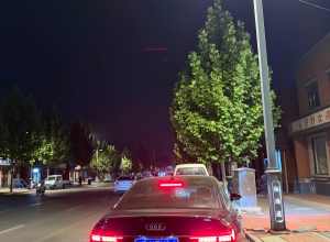 自驾出行花费，比高铁省多了