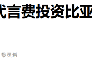 王力宏重仓比亚迪！