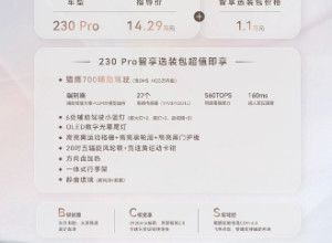 背刺老车主