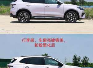 MG 4X我觉得把行李架，车窗亮镀铬条，轮毂黑化后更大气，更运动，更好看些
