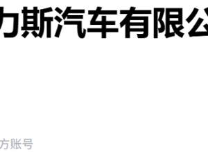 赛力斯汽车董事长卸任！