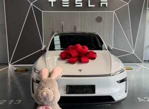 25款Model Y后驱标准版，官方裸车263500。
