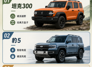 20万级硬派方盒子，坦克300、豹5、捷途旅行者怎么挑？